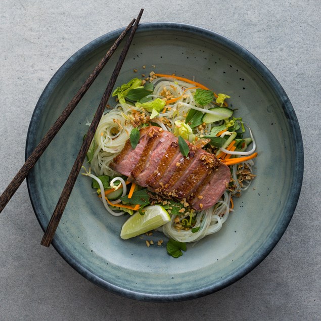 Roasted Duck with Asian Noodle Salad