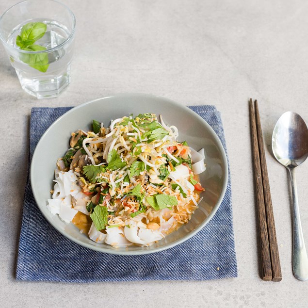 Thai Panang Vegetable Curry and Noodles