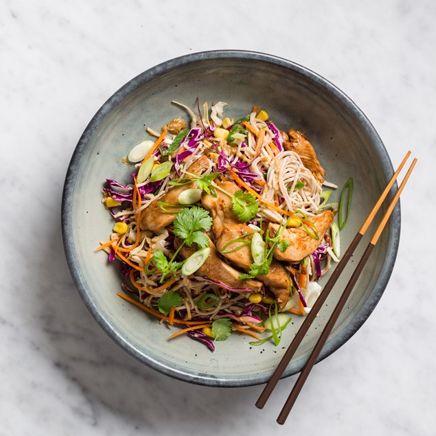 Chicken Soba Noodles With Sesame Seed Dressing And Slaw My Food Bag